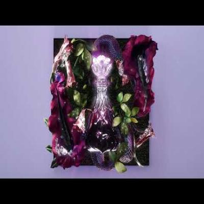 Embedded thumbnail for Aaliyah Ft. The Weeknd - Poison (Official Visualizer)
